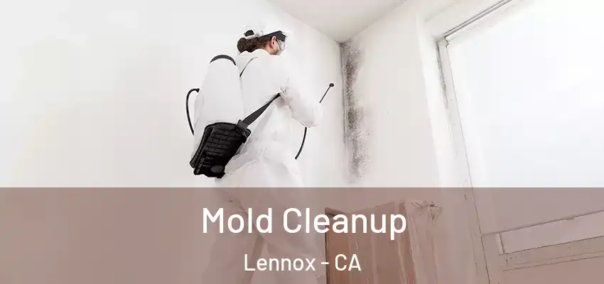 Mold Cleanup Lennox - CA