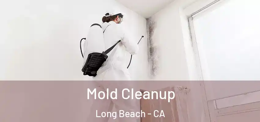 Mold Cleanup Long Beach - CA