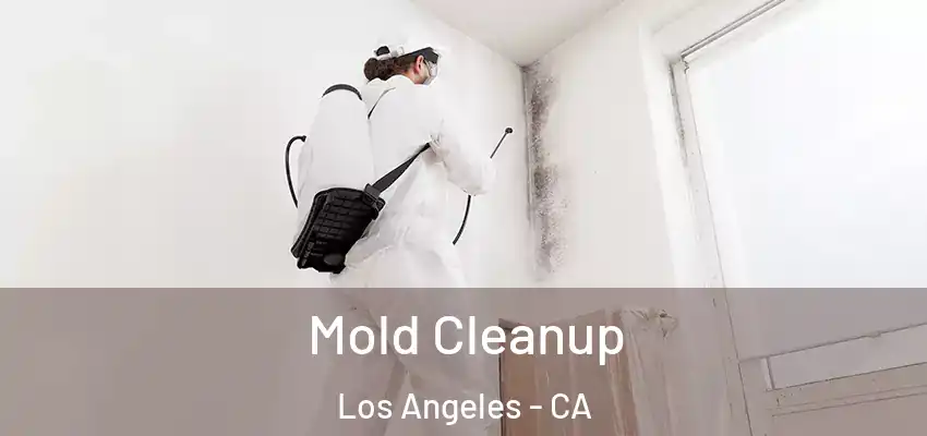 Mold Cleanup Los Angeles - CA