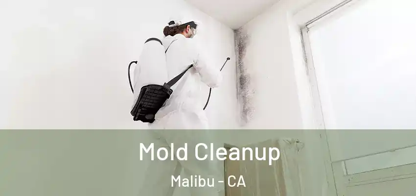 Mold Cleanup Malibu - CA