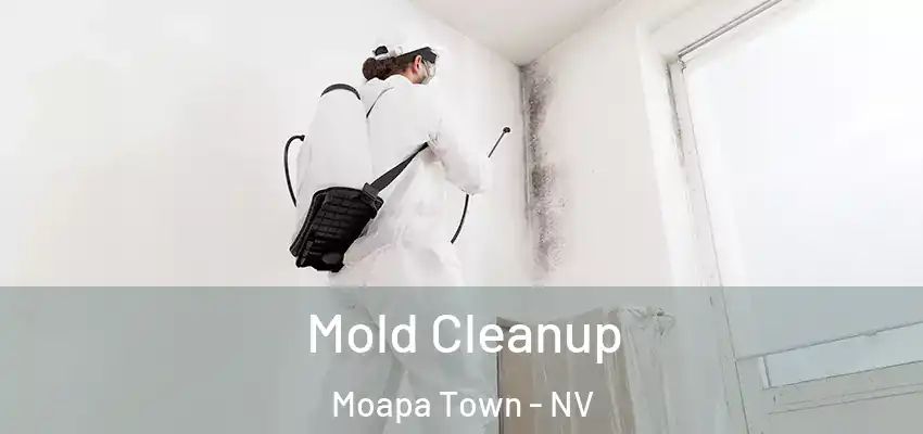 Mold Cleanup Moapa Town - NV