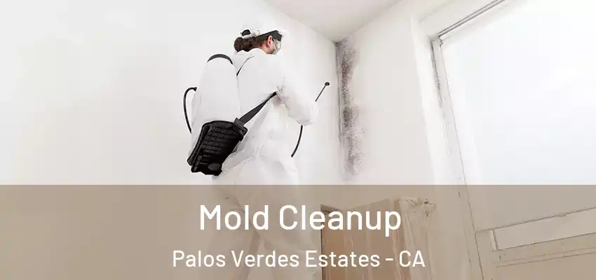 Mold Cleanup Palos Verdes Estates - CA