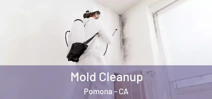  Mold Cleanup Pomona - CA