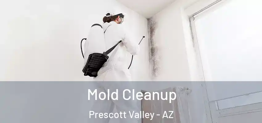 Mold Cleanup Prescott Valley - AZ