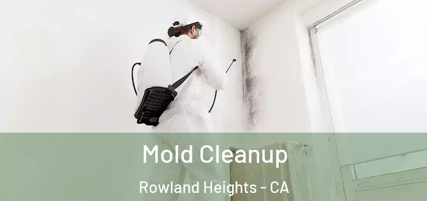 Mold Cleanup Rowland Heights - CA