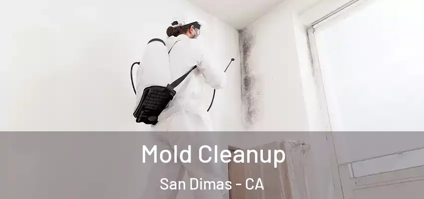 Mold Cleanup San Dimas - CA