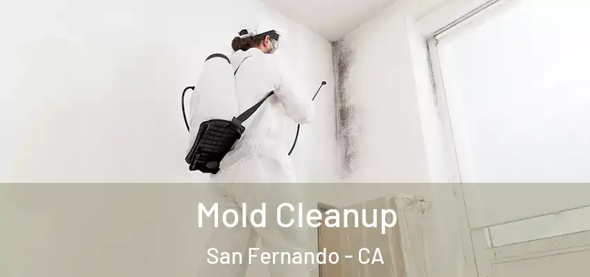  Mold Cleanup San Fernando - CA