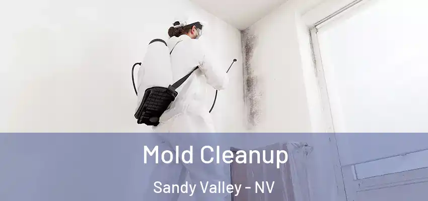  Mold Cleanup Sandy Valley - NV