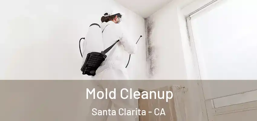  Mold Cleanup Santa Clarita - CA