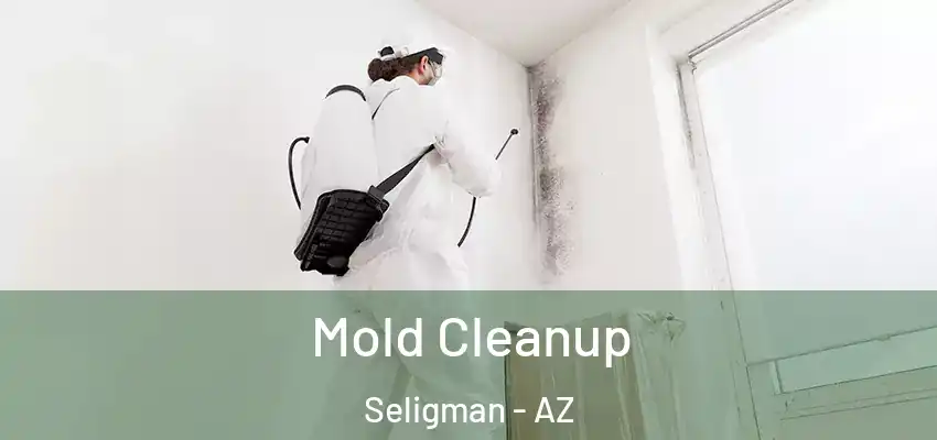  Mold Cleanup Seligman - AZ
