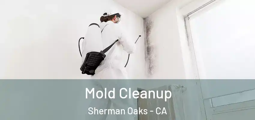 Mold Cleanup Sherman Oaks - CA