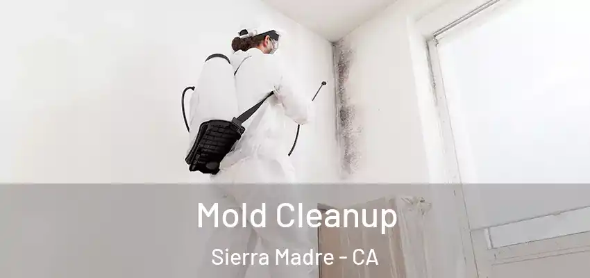  Mold Cleanup Sierra Madre - CA