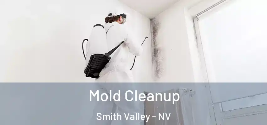  Mold Cleanup Smith Valley - NV