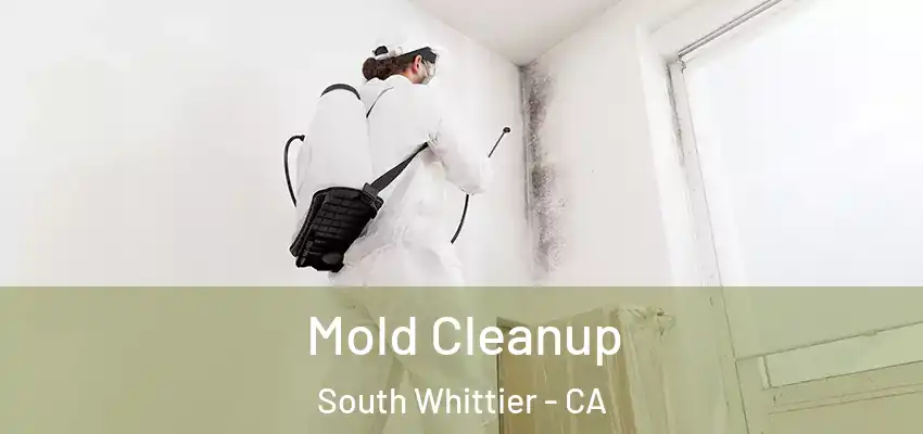 Mold Cleanup South Whittier - CA