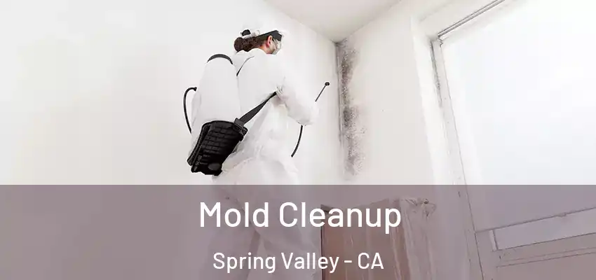 Mold Cleanup Spring Valley - CA