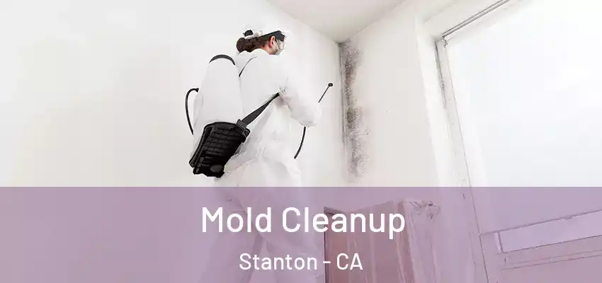 Mold Cleanup Stanton - CA