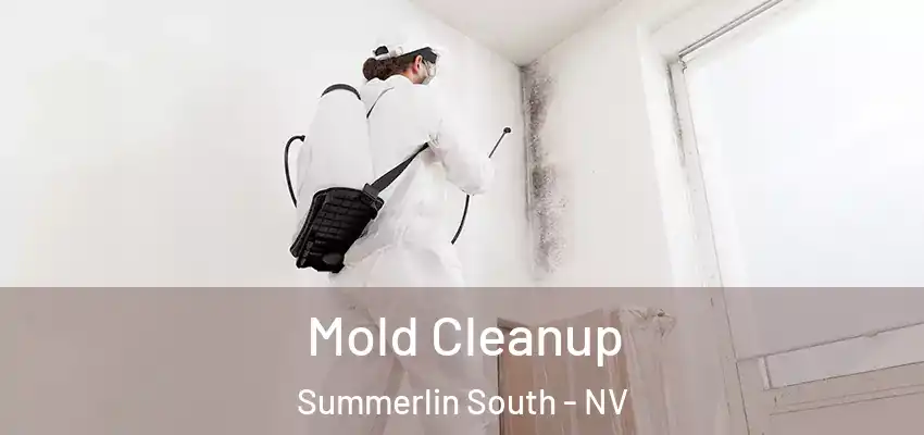  Mold Cleanup Summerlin South - NV