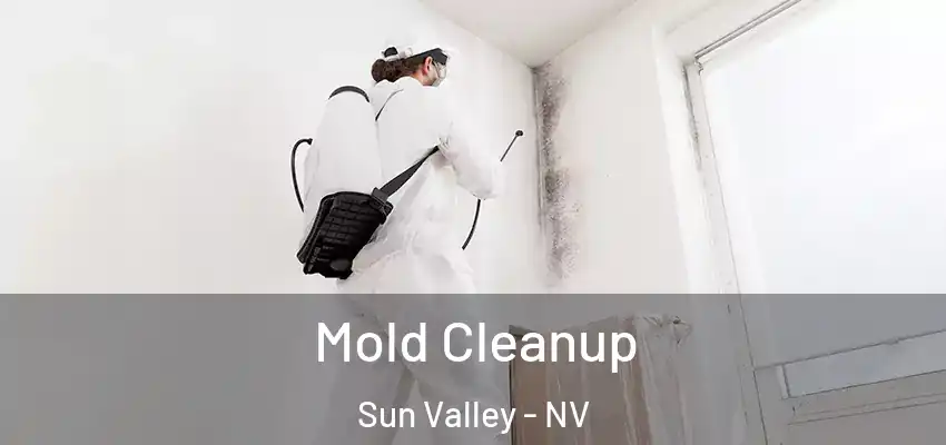  Mold Cleanup Sun Valley - NV