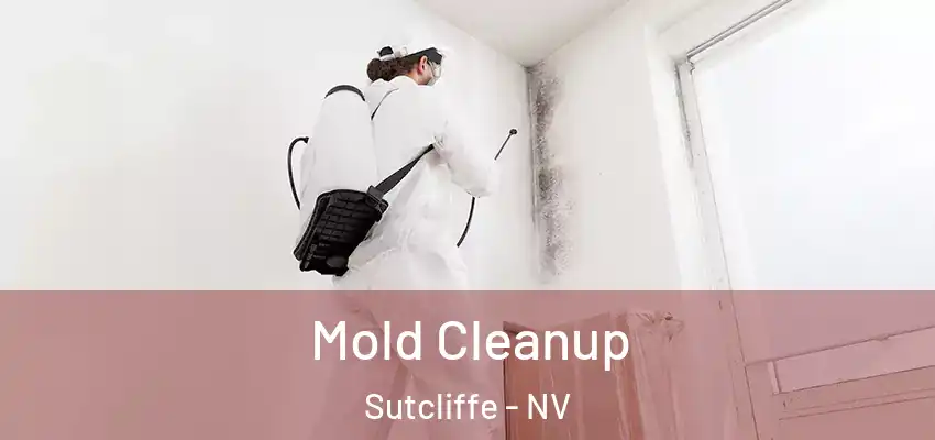 Mold Cleanup Sutcliffe - NV