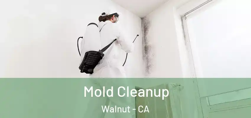 Mold Cleanup Walnut - CA