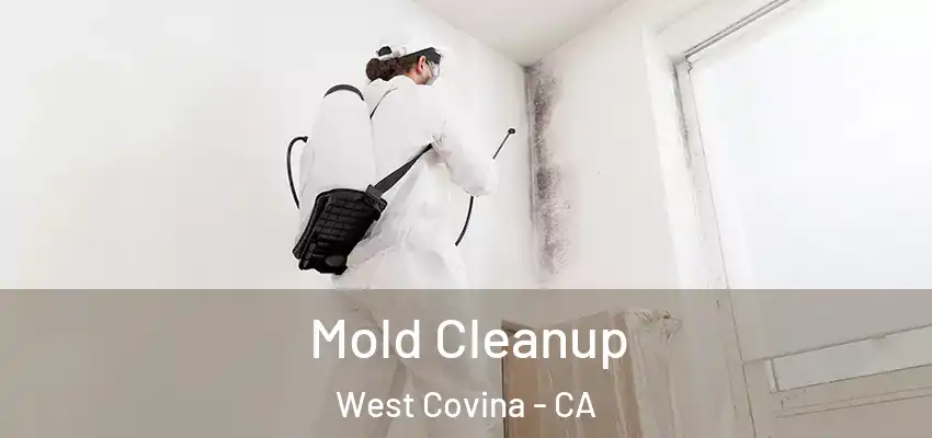  Mold Cleanup West Covina - CA