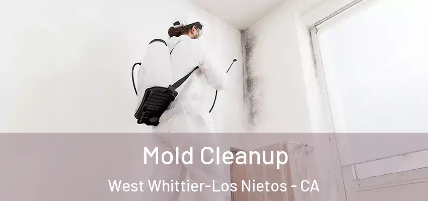  Mold Cleanup West Whittier-Los Nietos - CA