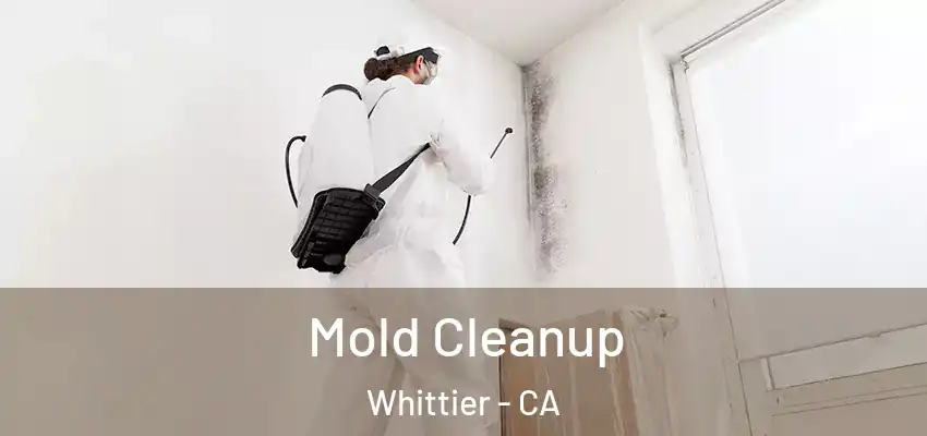 Mold Cleanup Whittier - CA