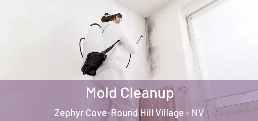 Mold Cleanup Zephyr Cove-Round Hill Village - NV