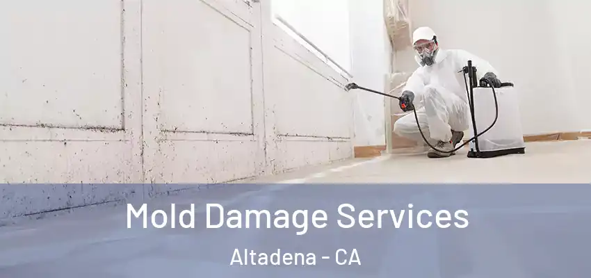 Mold Damage Services Altadena - CA