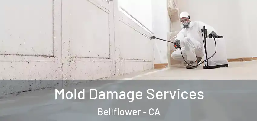  Mold Damage Services Bellflower - CA