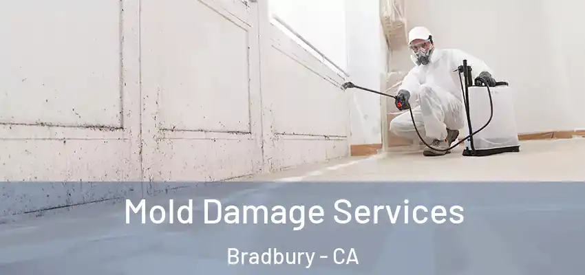  Mold Damage Services Bradbury - CA