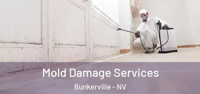 Mold Damage Services Bunkerville - NV