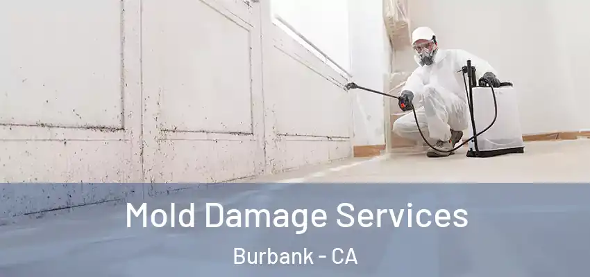 Mold Damage Services Burbank - CA