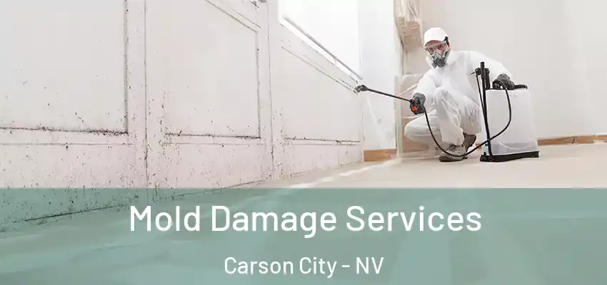  Mold Damage Services Carson City - NV