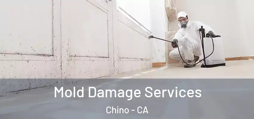  Mold Damage Services Chino - CA