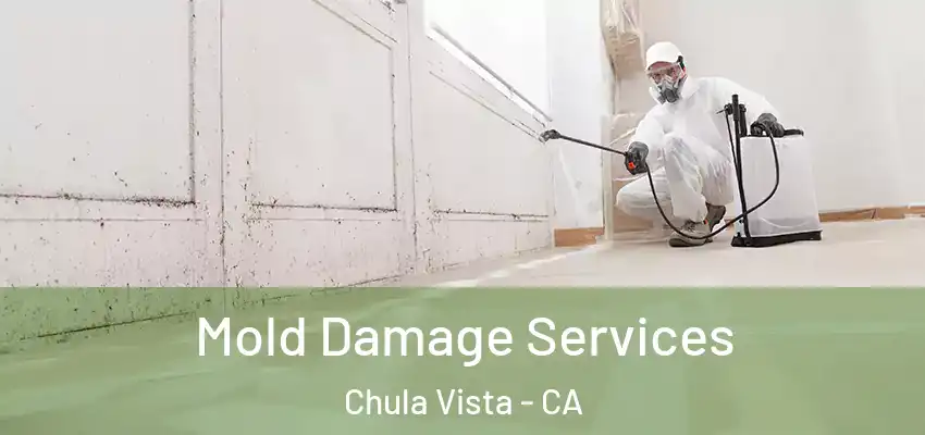  Mold Damage Services Chula Vista - CA