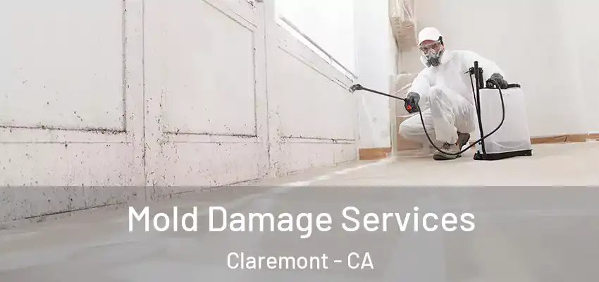  Mold Damage Services Claremont - CA