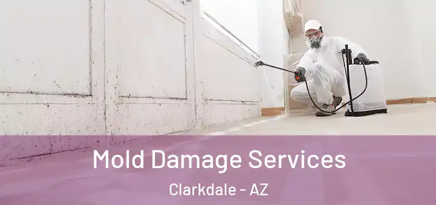 Mold Damage Services Clarkdale - AZ