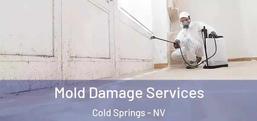 Mold Damage Services Cold Springs - NV