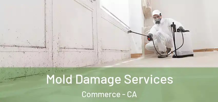  Mold Damage Services Commerce - CA