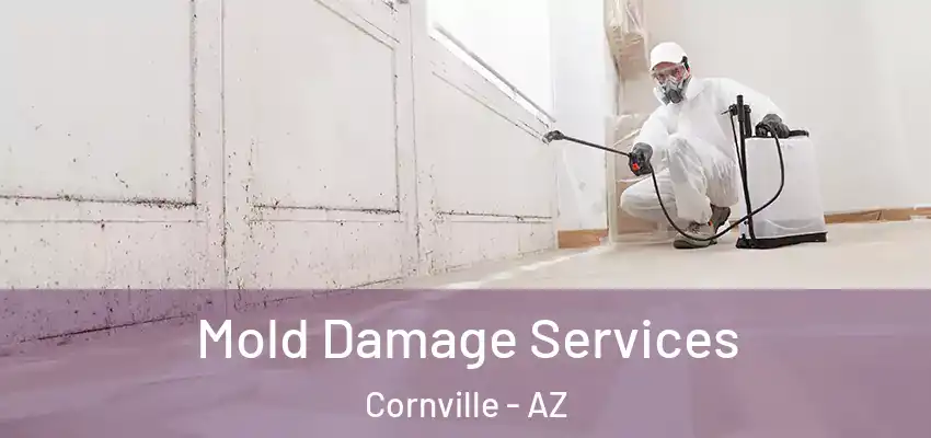  Mold Damage Services Cornville - AZ