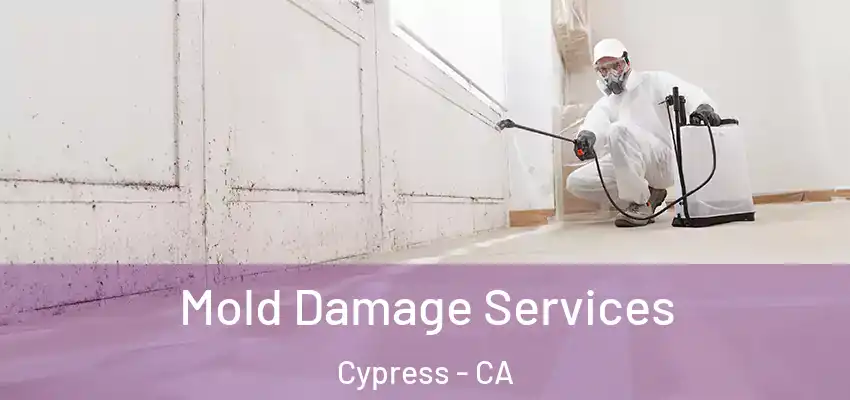 Mold Damage Services Cypress - CA