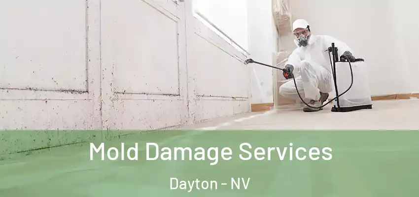  Mold Damage Services Dayton - NV