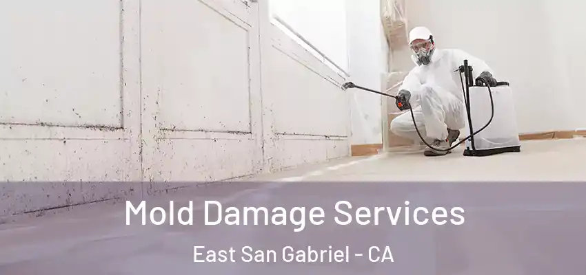  Mold Damage Services East San Gabriel - CA