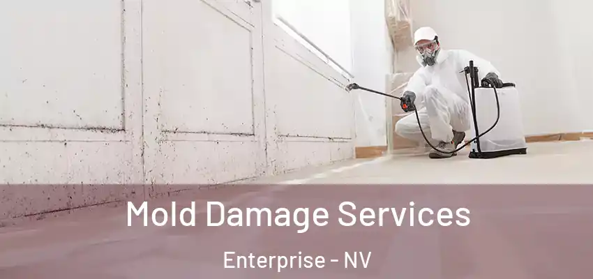 Mold Damage Services Enterprise - NV