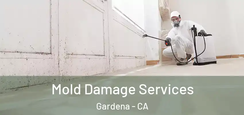 Mold Damage Services Gardena - CA