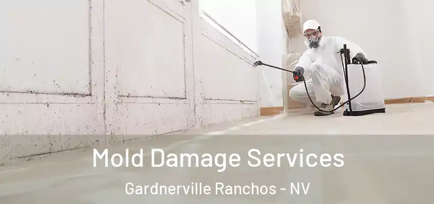 Mold Damage Services Gardnerville Ranchos - NV