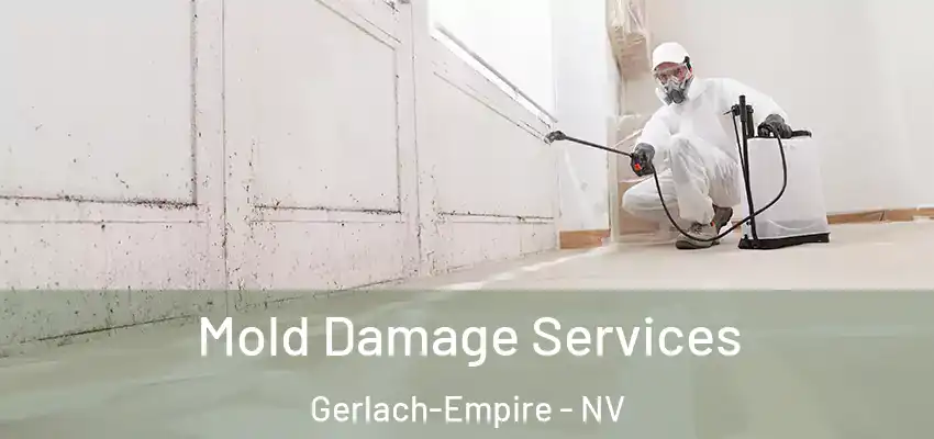 Mold Damage Services Gerlach-Empire - NV