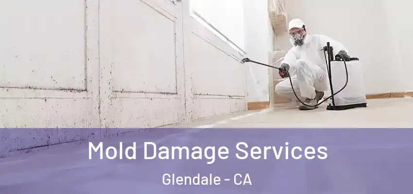 Mold Damage Services Glendale - CA