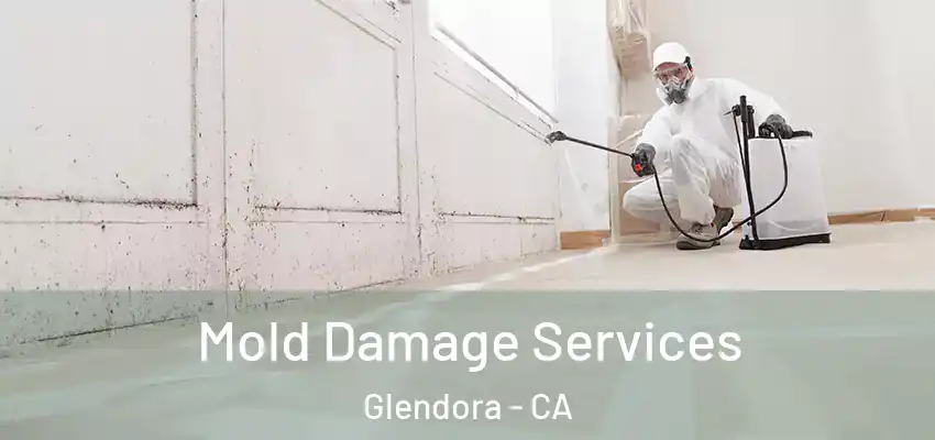 Mold Damage Services Glendora - CA